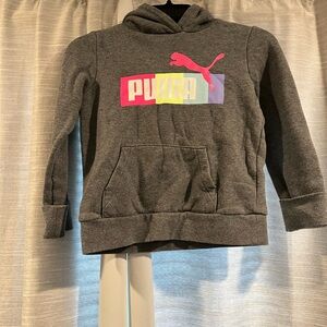 Puma Gray Sweatshirt Classic Hoodie